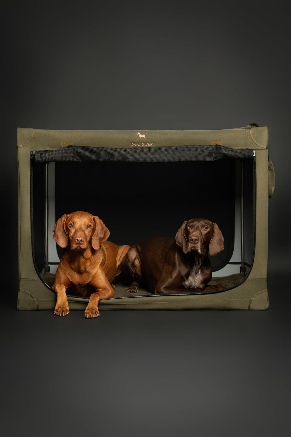 Cama para jaula incluida para mayor confort del perro NOAH & PAW.