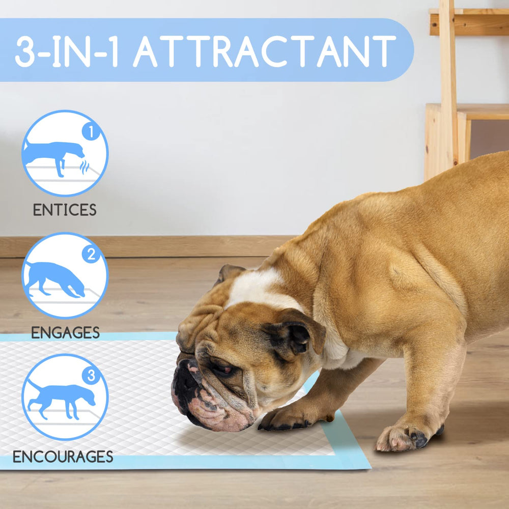 Nobleza Puppy Pads Usos interiores y exteriores, versatilidad para hogares con mascotas