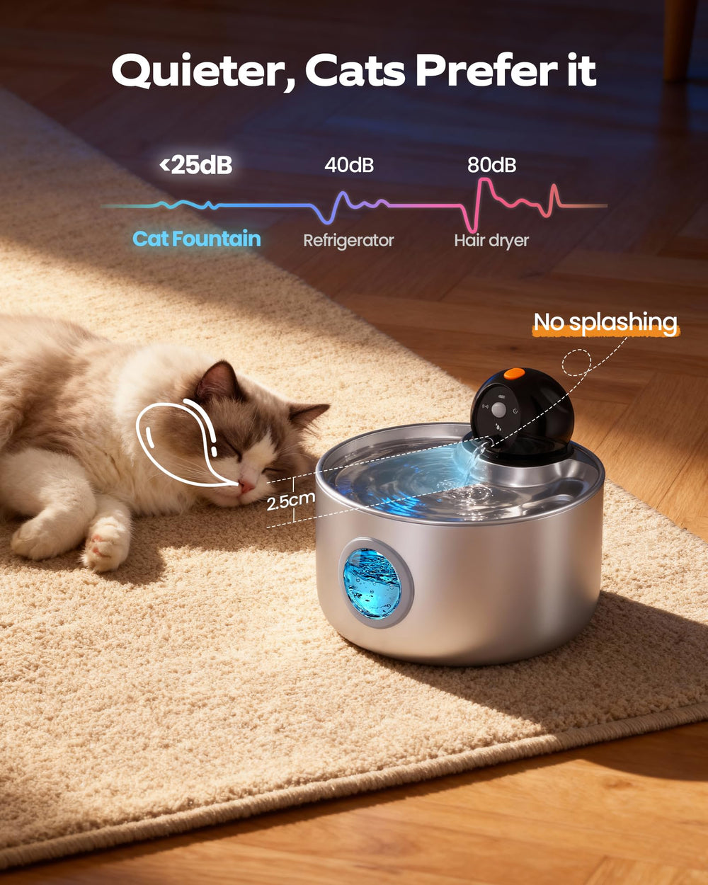 NOBXBON sensor esferico atrae la curiosidad del gato