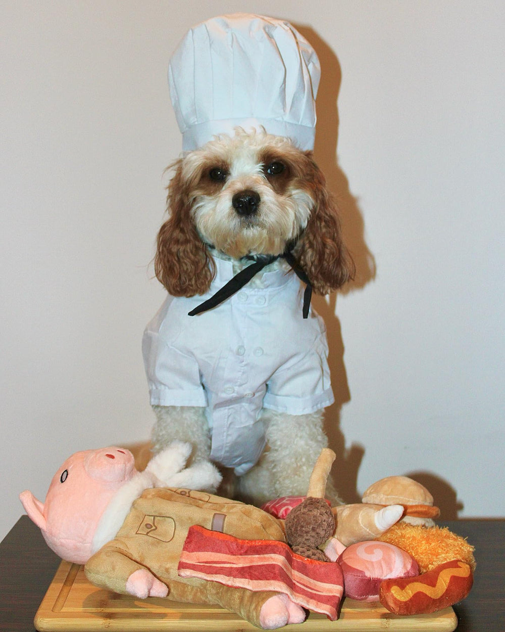 Conjunto de juguetes Nocciola para perro, opción variada para juego diario.