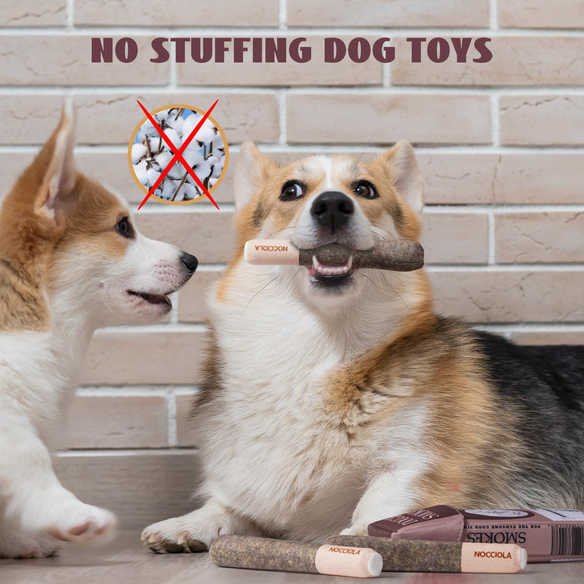Accesorio de cumpleaños Nocciola para perro, ideal para fiestas seguras