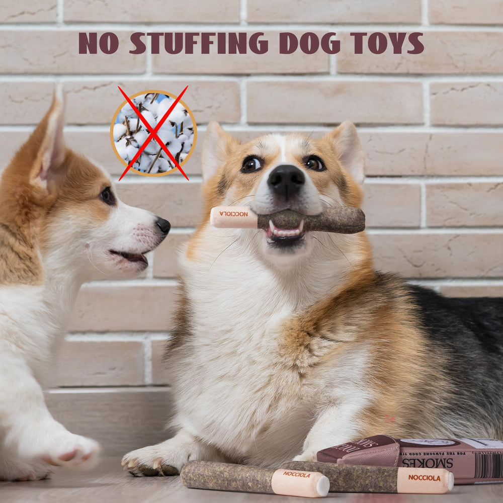 Accesorio de cumpleaños Nocciola para perro, ideal para fiestas seguras