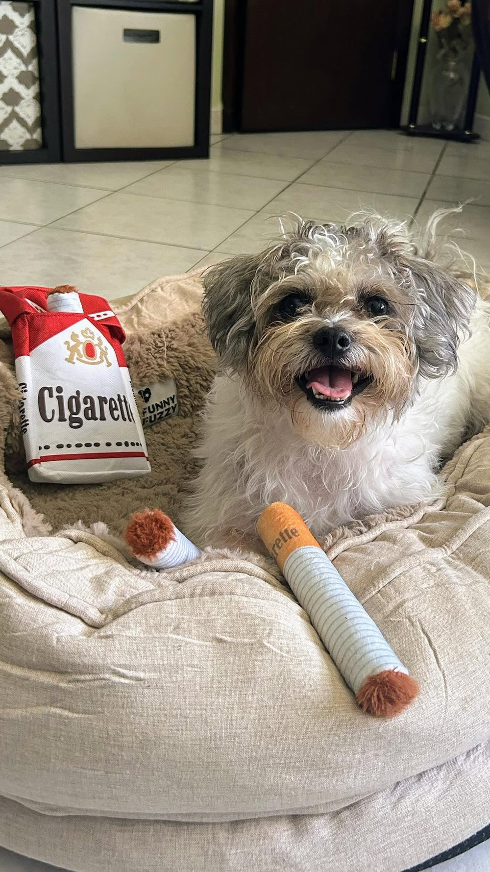Nocciola regalo ideal para perros con juguete-palo-ruidoso