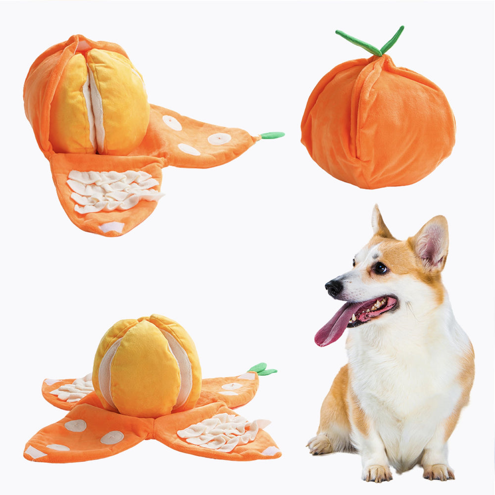 Nocciola Juguete para perro naranja con secreto para estimular olfato y juego