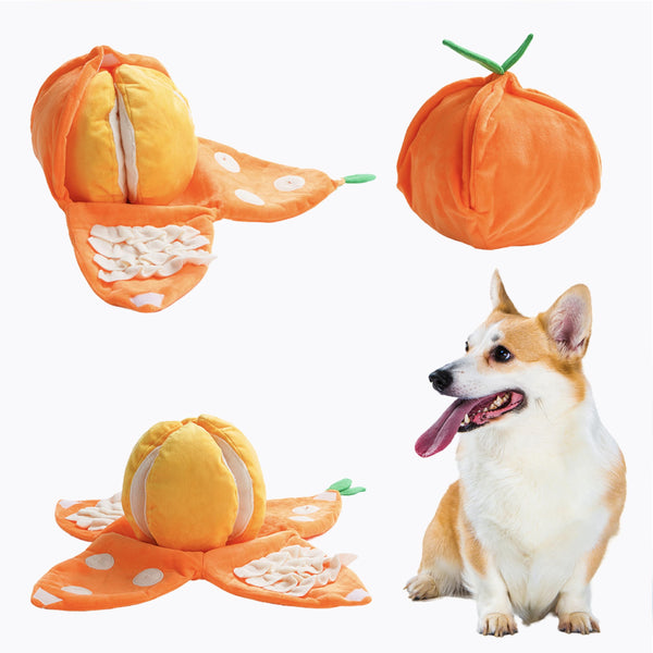 Nocciola Juguete para perro naranja con secreto para estimular olfato y juego