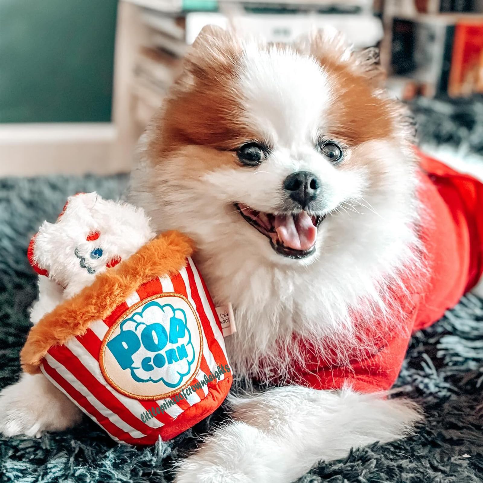 Nocciola palomitas bordadas con expresiones, perfecto para estimulación mental.