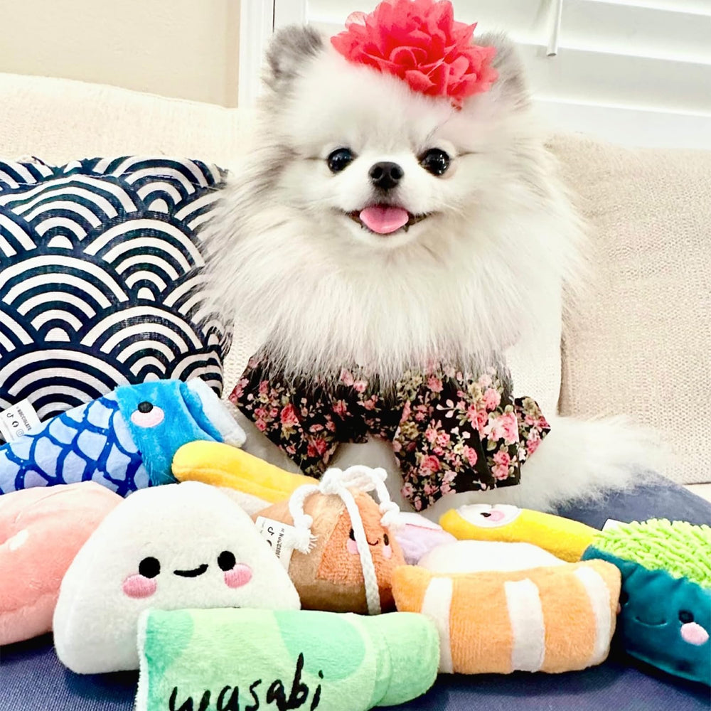 Conjunto de juguetes sushi de Nocciola para perros medianos, entretenimiento suave