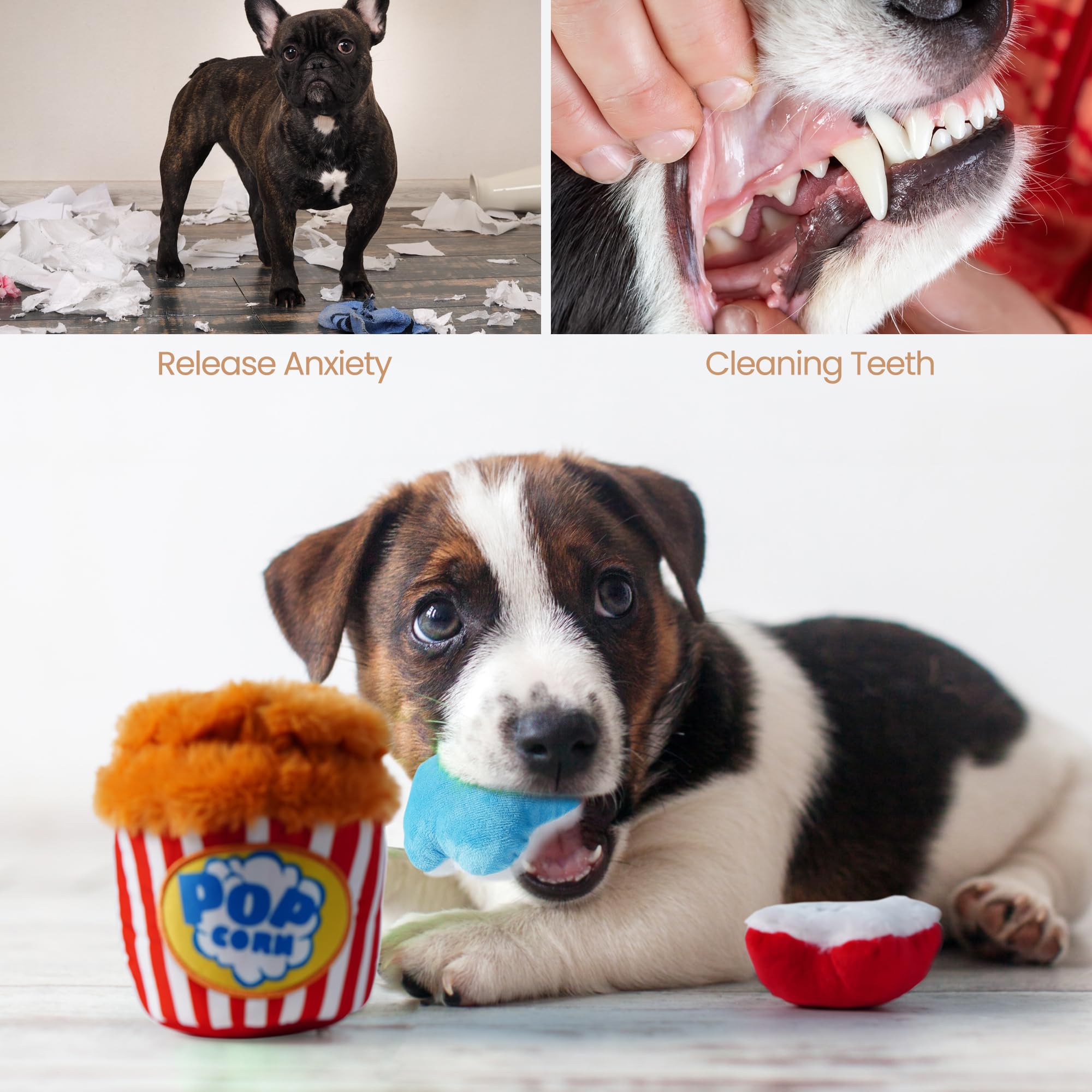 Nocciola tamaño compacto, perfecto para perros pequeños y medianos.