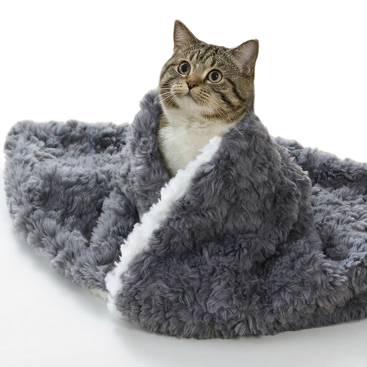 NODARKO manta gato pelo de conejo cepillado, ideal para siestas cálidas.