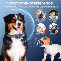 NOIDECE collar con modo de protección y pausa para entrenamiento responsable.