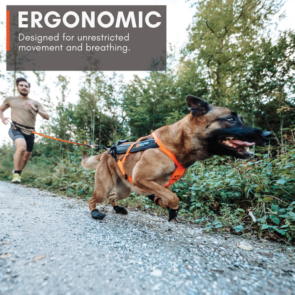 Non-stop dogwear Freemotion Harness con ajuste ergonómico para adaptar la forma del cuerpo.