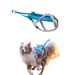 Arnés Freemotion de Non-stop dogwear, diseño ergonómico para libertad de movimiento.