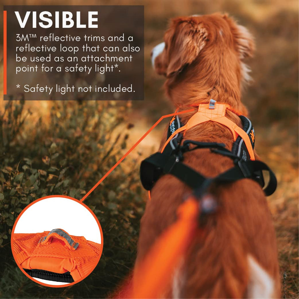 Non-stop dogwear Freemotion Harness alta durabilidad para entrenamiento y uso activo.