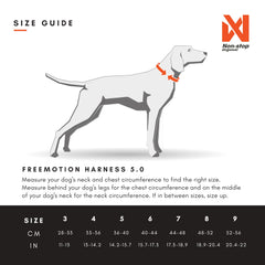 Non-stop dogwear Freemotion Harness durante paseo en bici, control y comodidad.