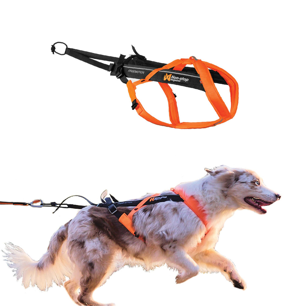 Non-stop dogwear Freemotion Harness para perro corriendo, libertad de hombros y estabilidad.