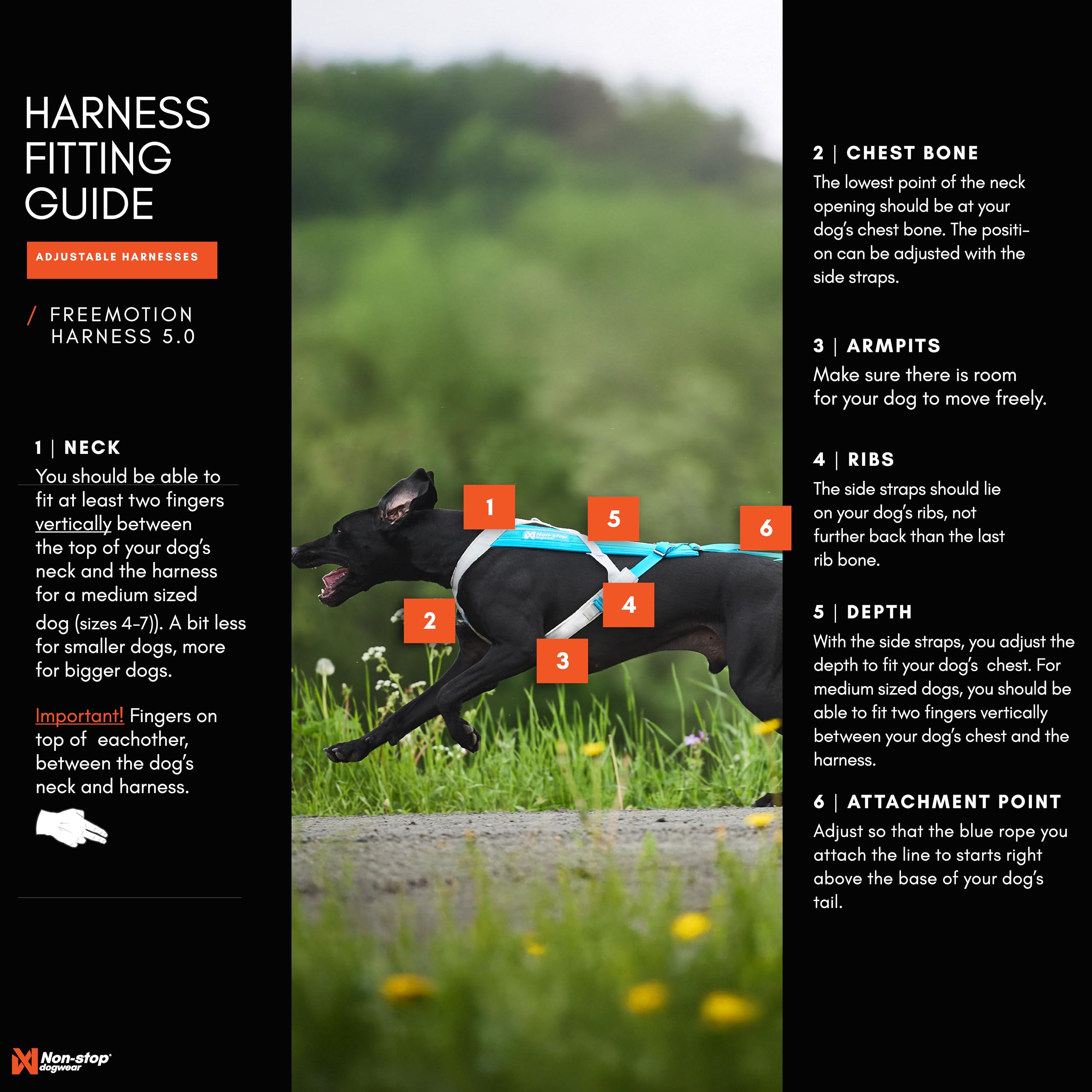 Non-stop dogwear Freemotion Harness para esquí canino, distribución de tirón y seguridad.