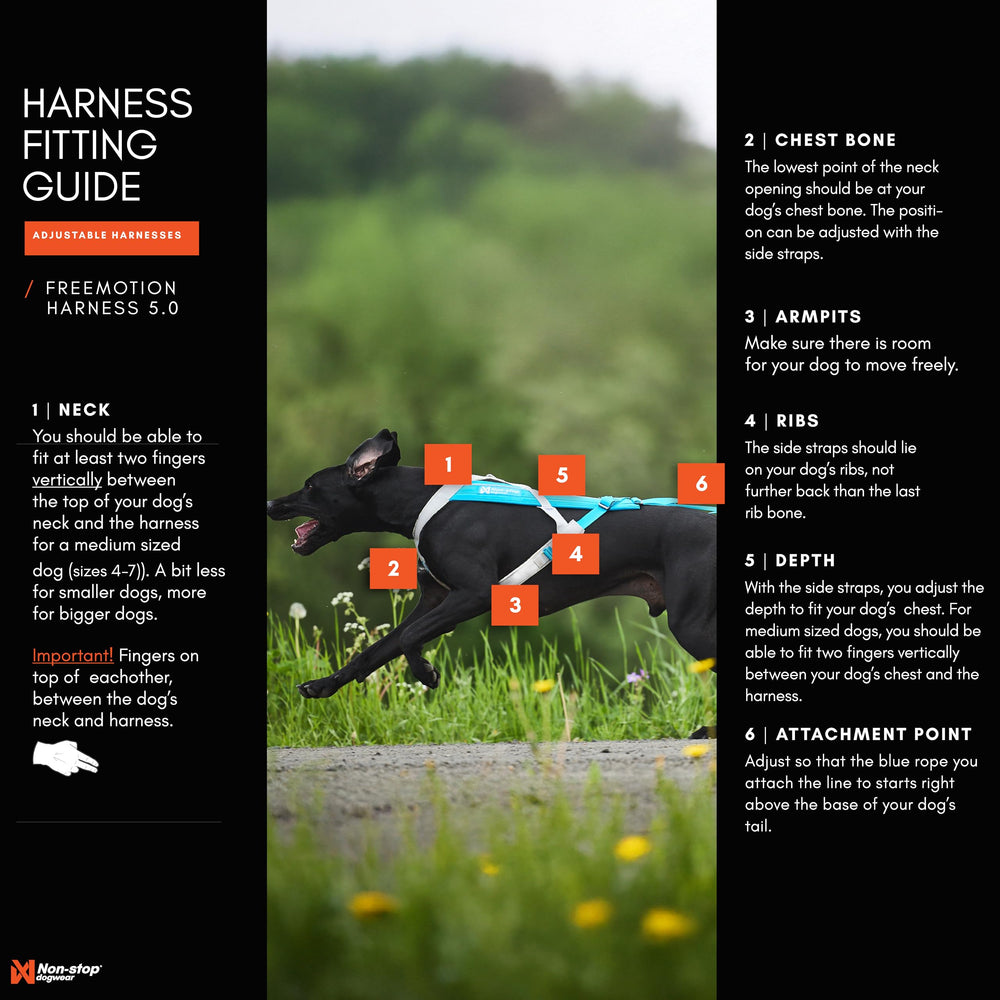 Non-stop dogwear Freemotion Harness para esquí canino, distribución de tirón y seguridad.