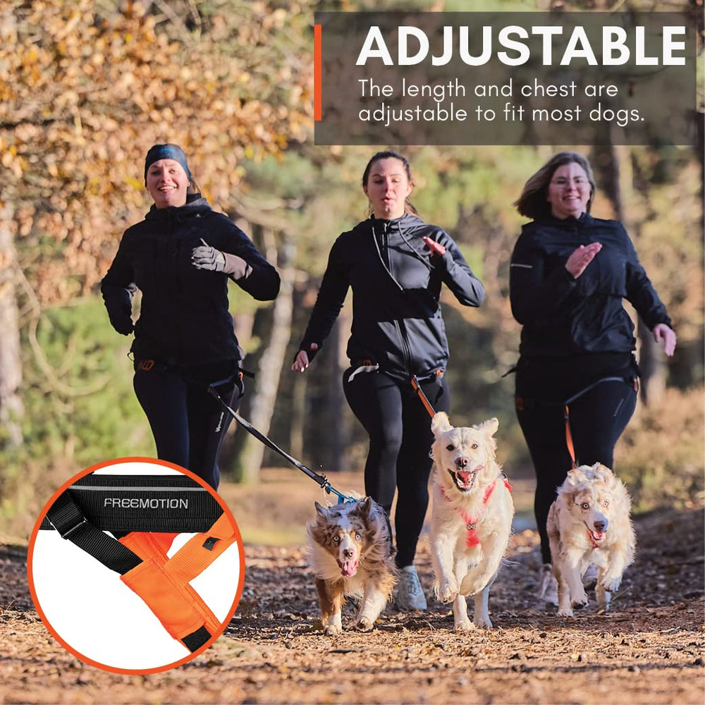 Non-stop dogwear Freemotion Harness cintas reflectantes 3M para mayor visibilidad nocturna.