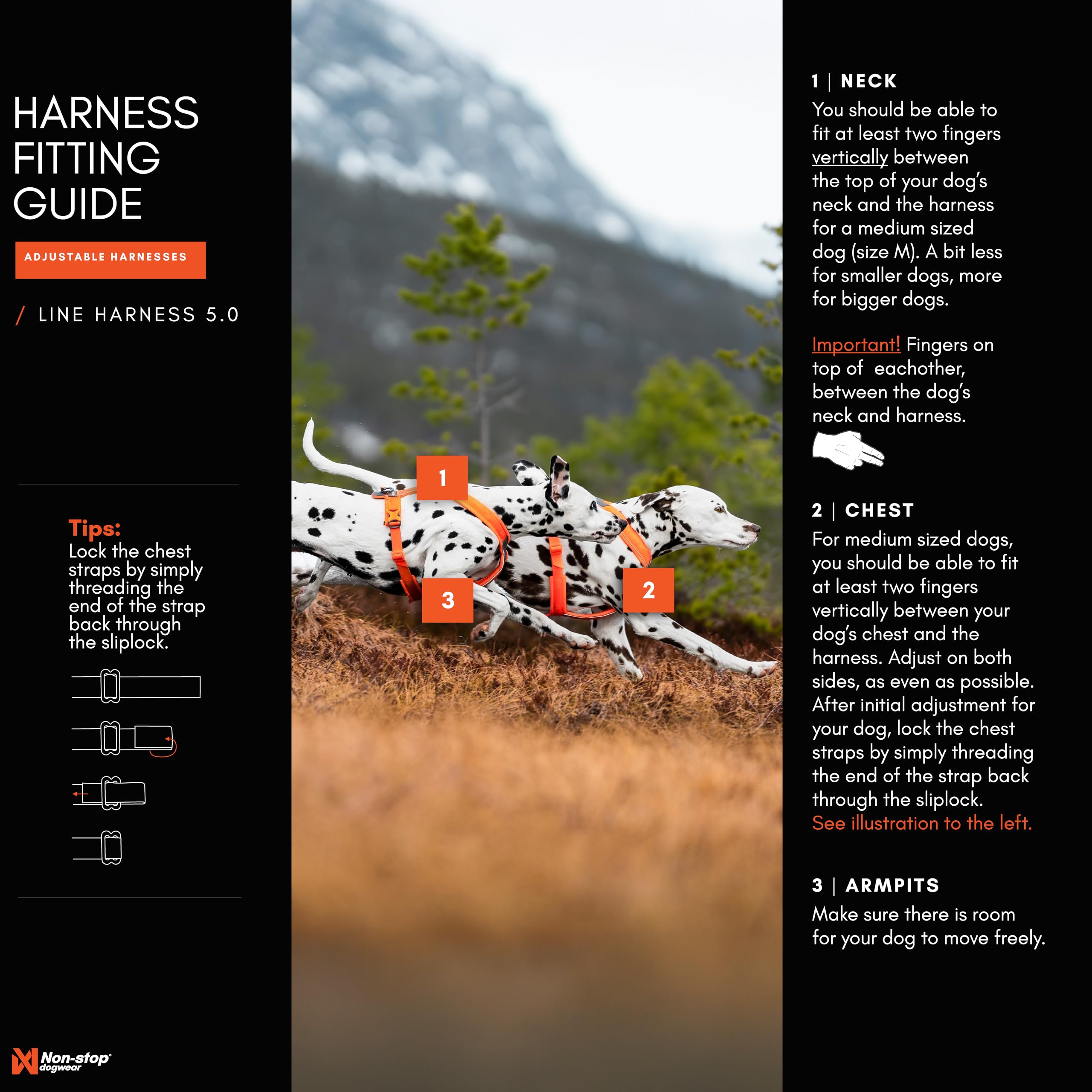 Dos clips para poner y quitar el arnés Line Harness 5.0