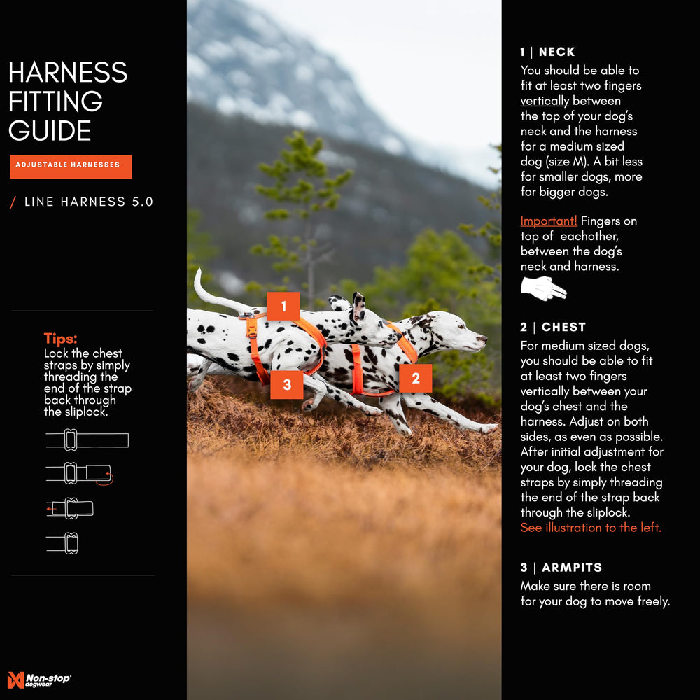 Dos clips para poner y quitar el arnés Line Harness 5.0