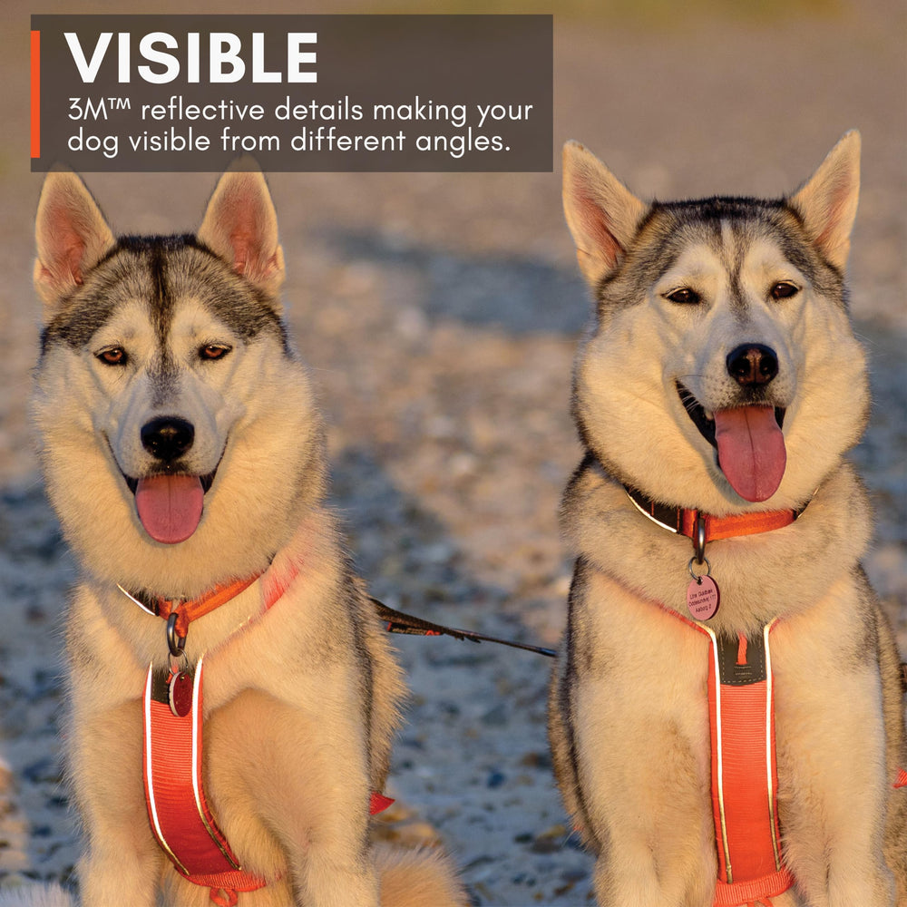 Diseño ergonómico que facilita movimiento y descanso del perro con Line Harness 5.0