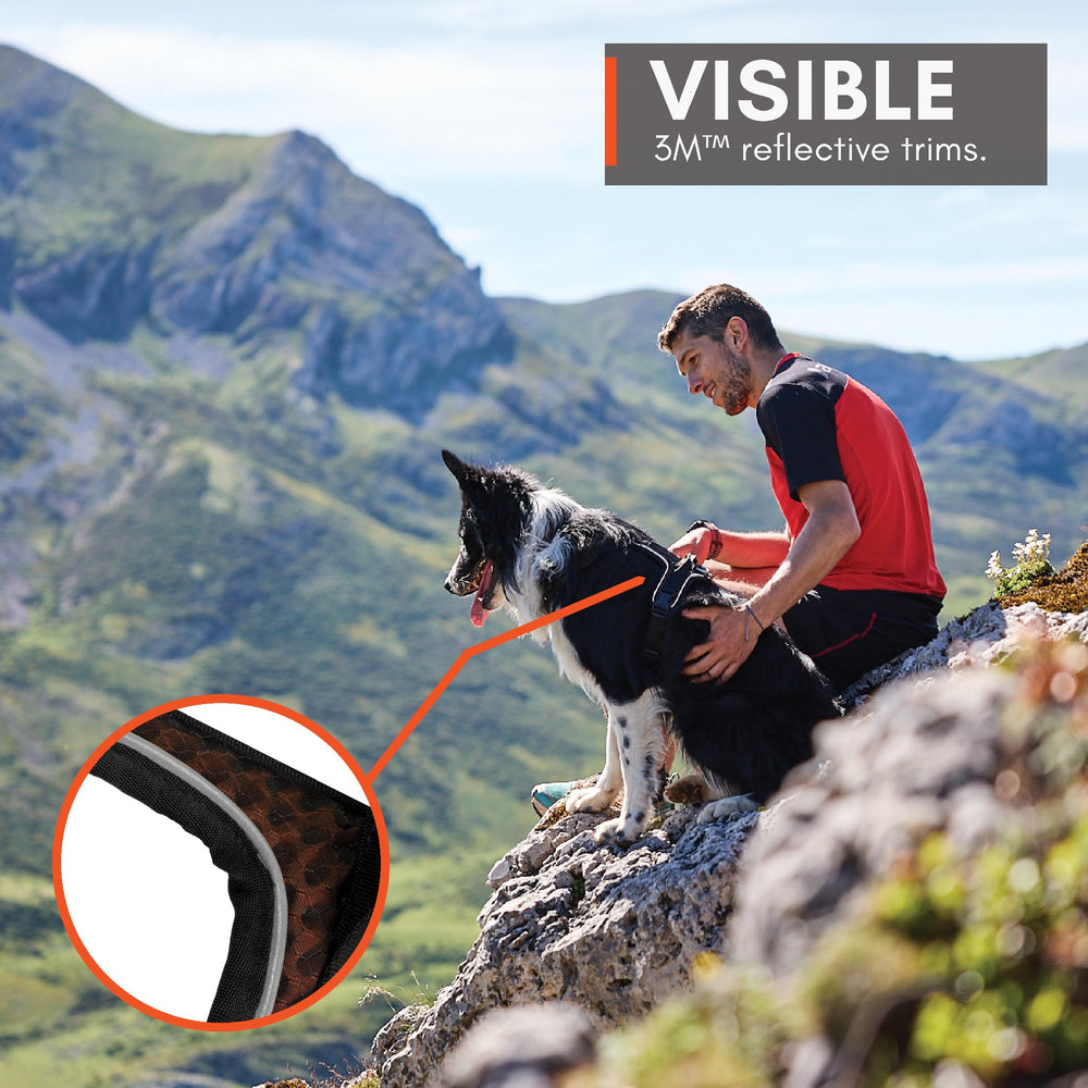 Anillo de seguimiento en Rock Harness para paseos con correa.
