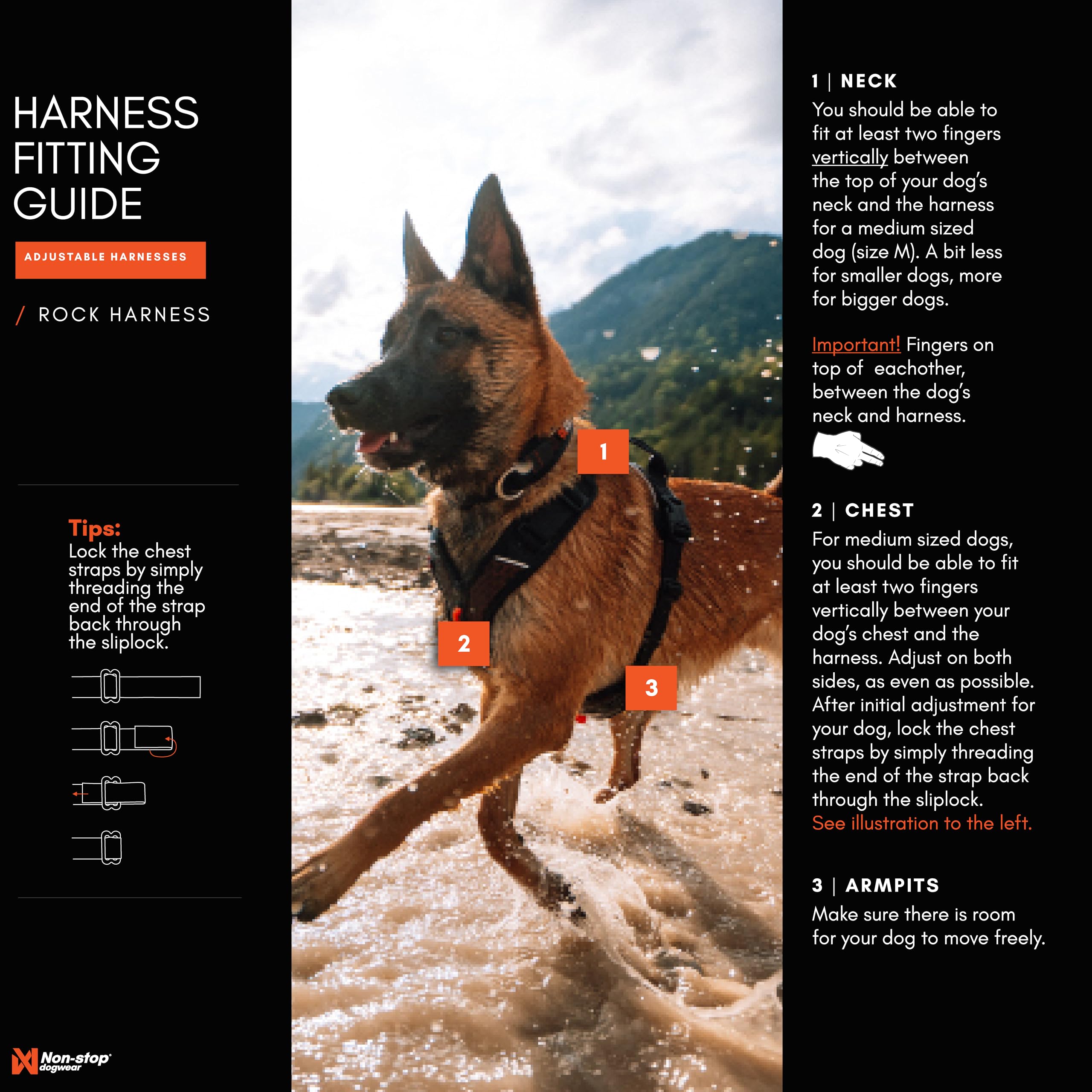 Asa y reflectivos de Rock Harness para mayor control y visibilidad.