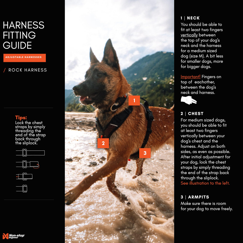 Asa y reflectivos de Rock Harness para mayor control y visibilidad.