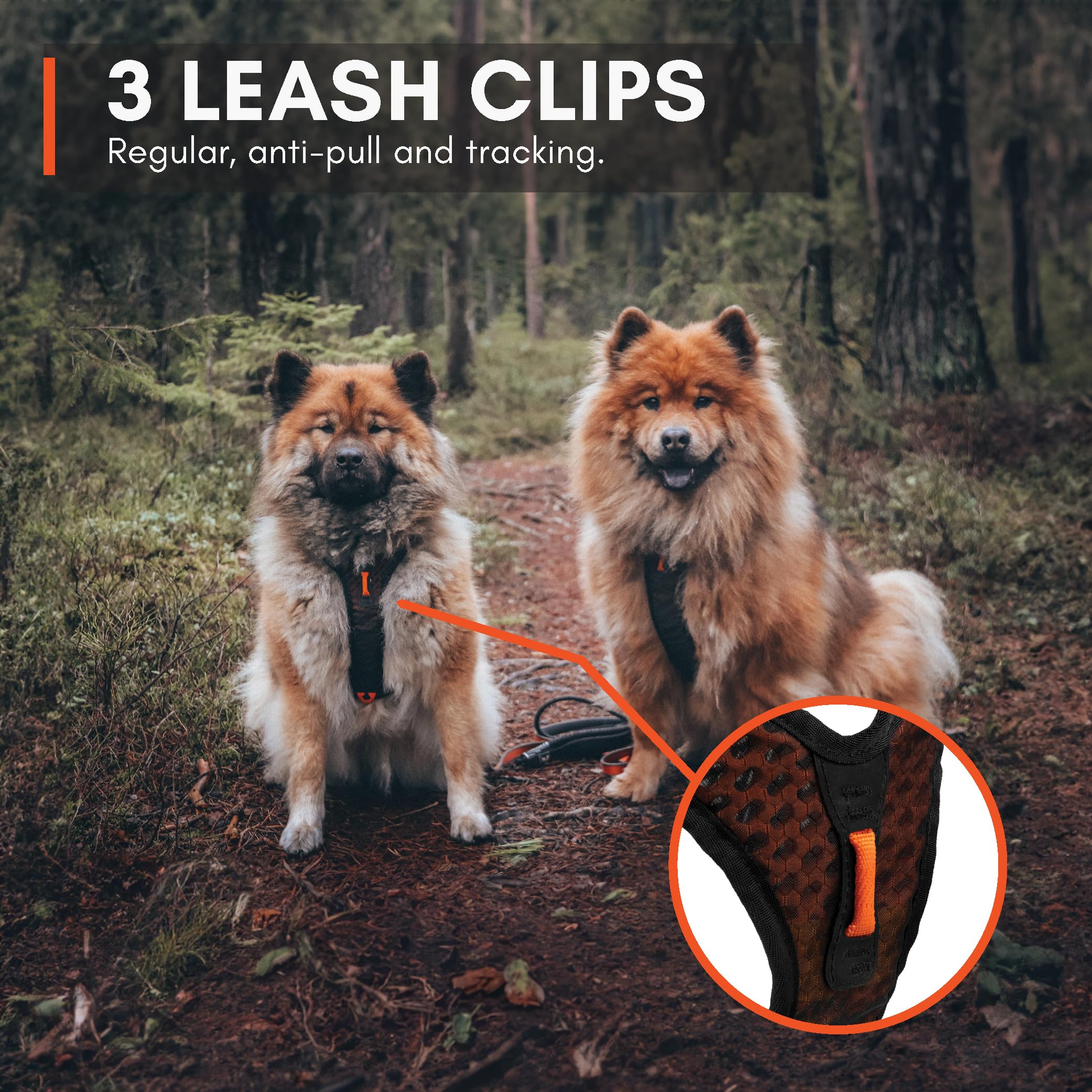 Material transpirable y interior suave de Rock Harness.