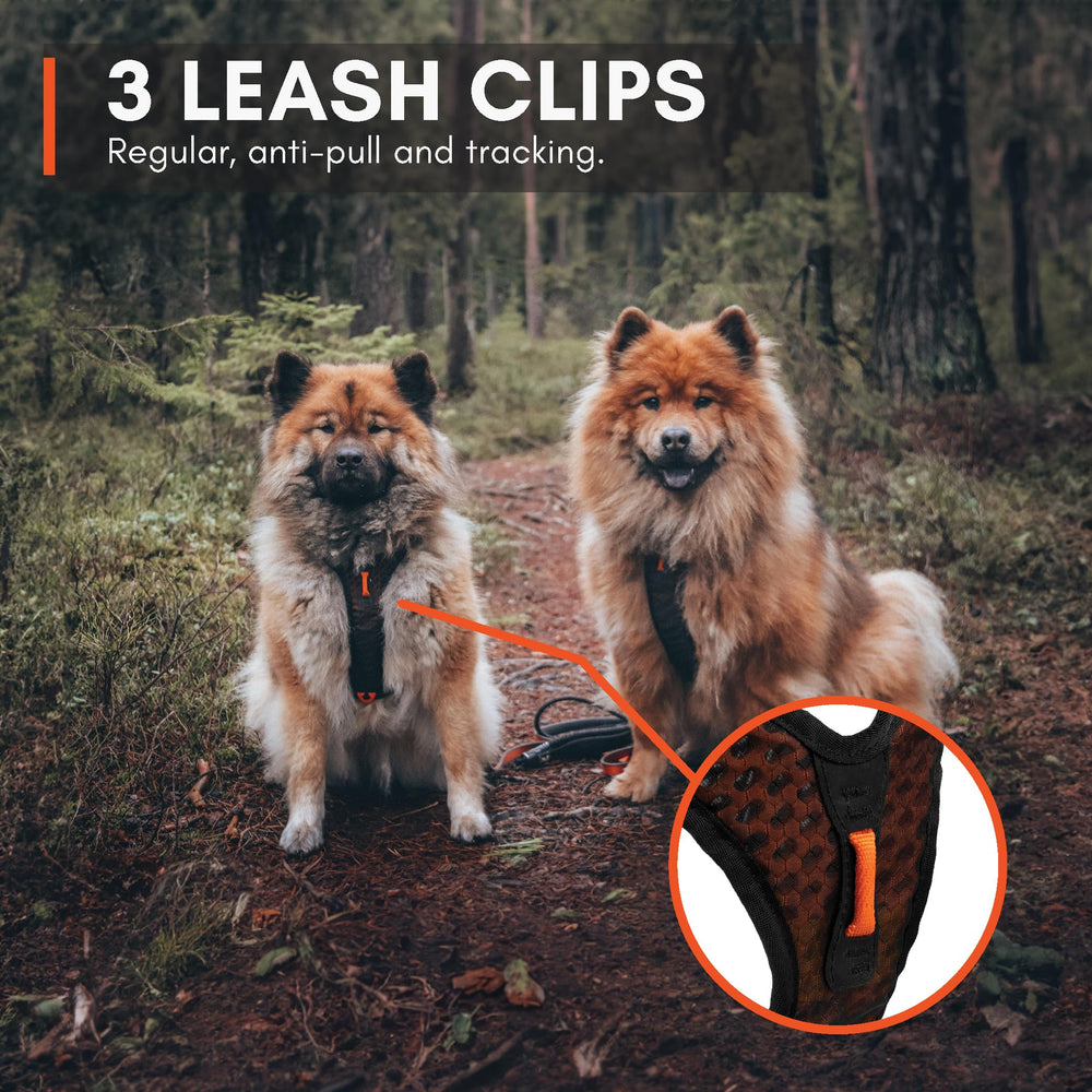 Material transpirable y interior suave de Rock Harness.