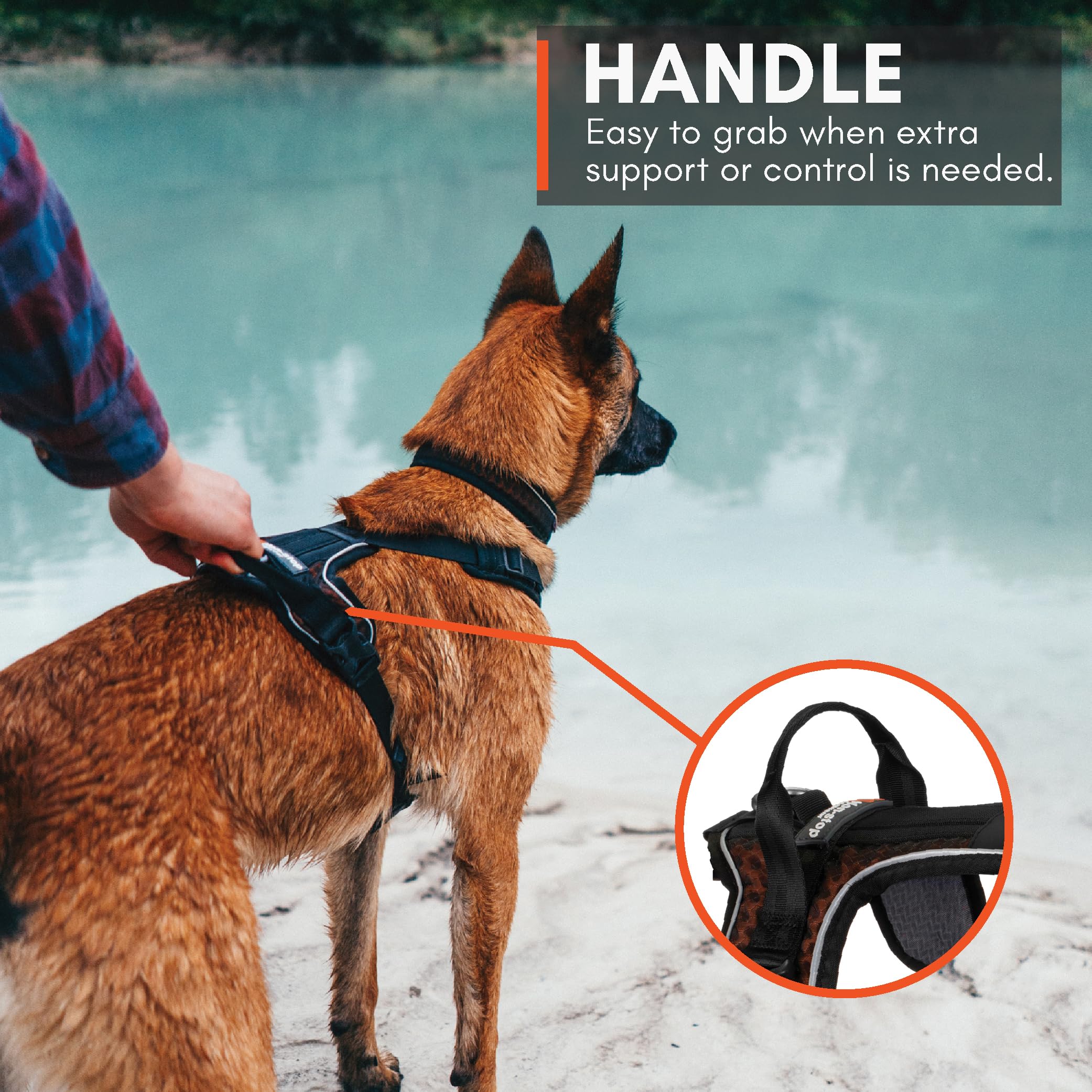 Enganche delantero anti-tiro de Rock Harness para control suave.