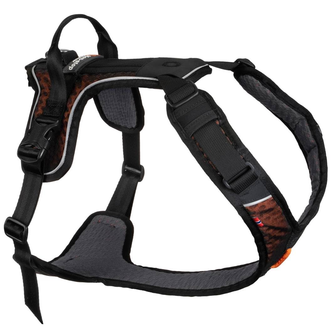Los tres puntos de enganche de Rock Harness para versatilidad en paseos.