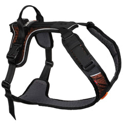 Los tres puntos de enganche de Rock Harness para versatilidad en paseos.