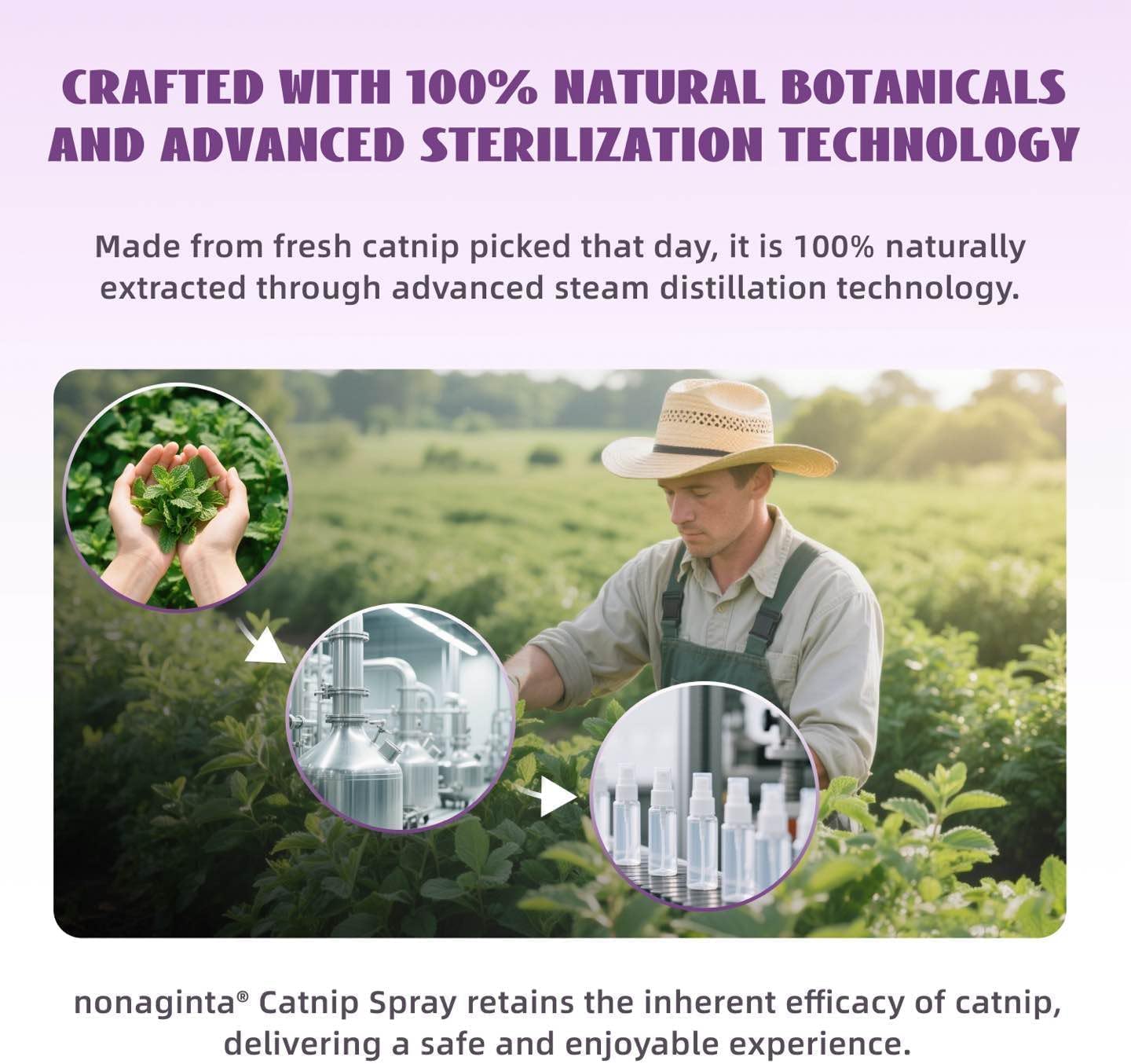 Nonaginta Neblina de Hierba Gatuna aroma suave para un ambiente más calmado.