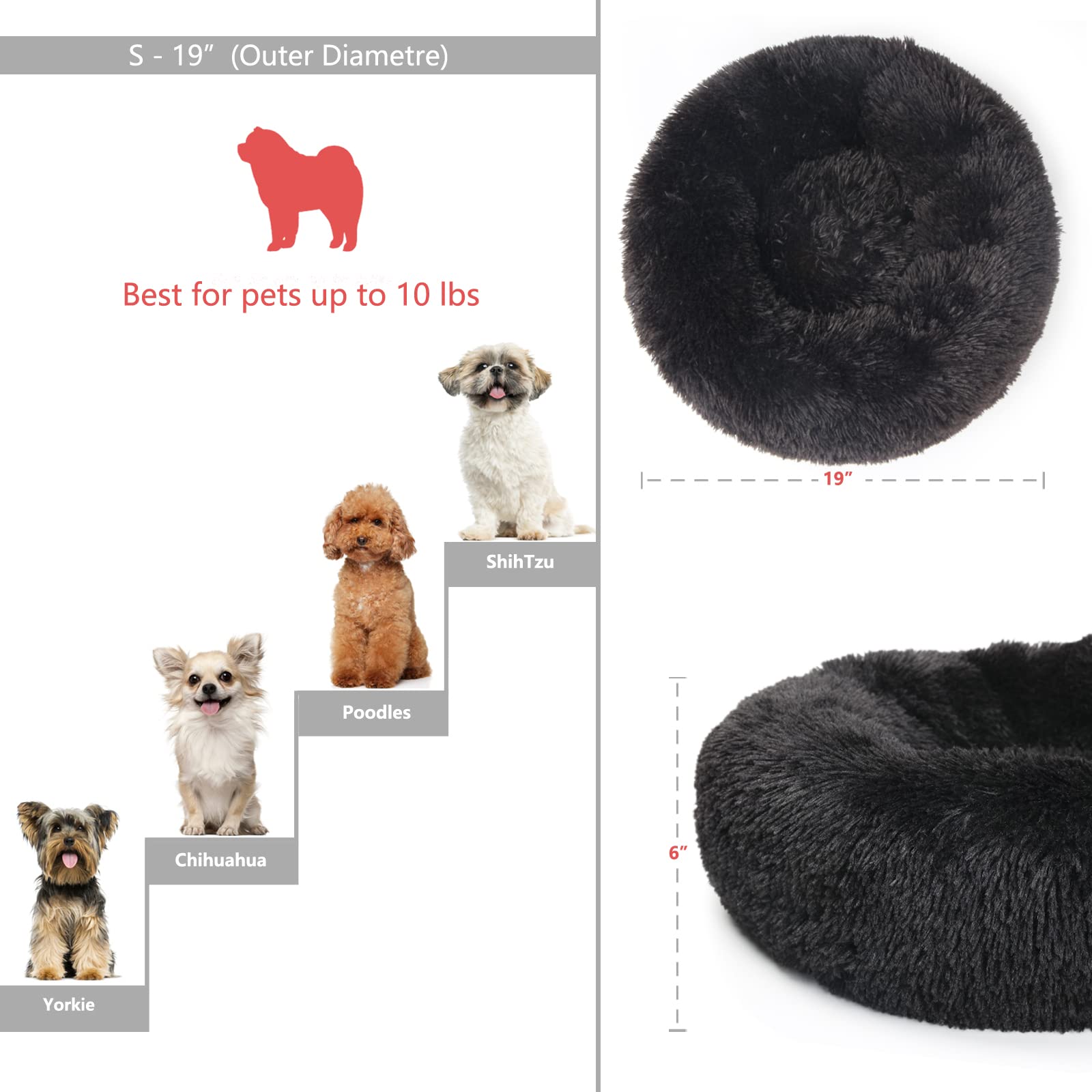 Cama nononfish en sala: ideal para que el cachorro se relaje.