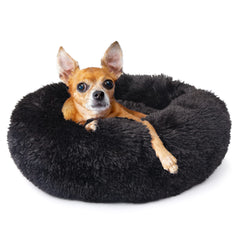 Cama nononfish para cachorros pequeños: vista frontal, seguridad y confort.