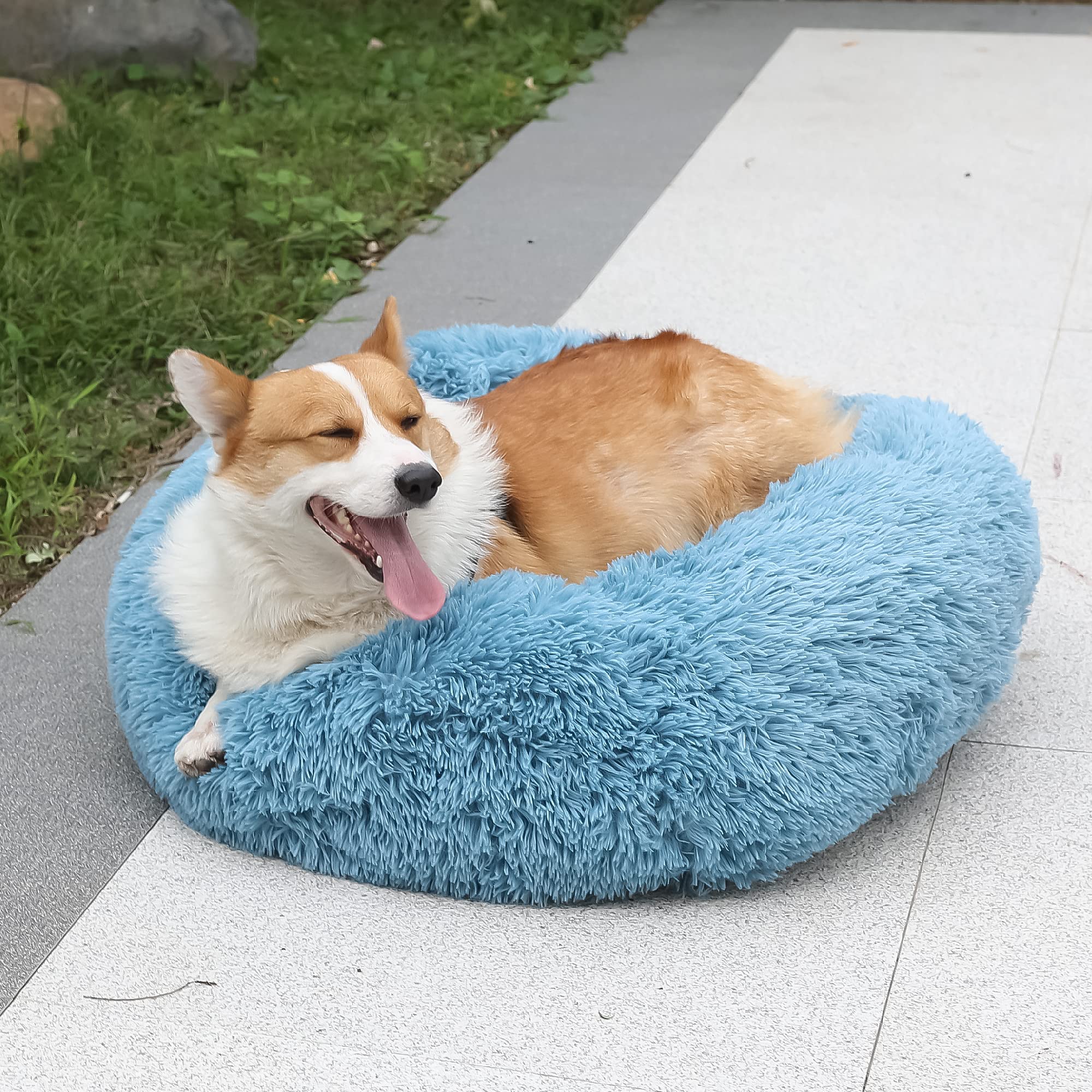 Nononfish cama donut calma, tono azul lavado ideal para mascotas pequeñas.