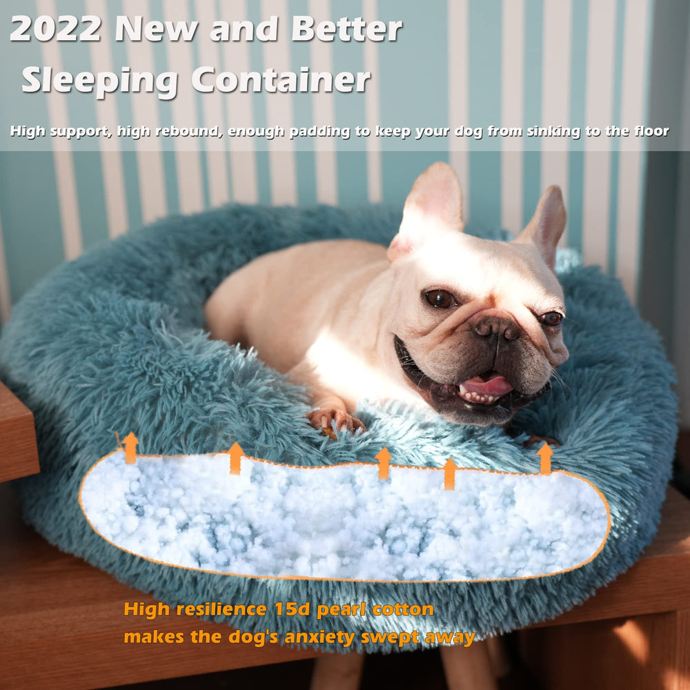 Nononfish cama-donut llega comprimida y se expande en 24-48 horas