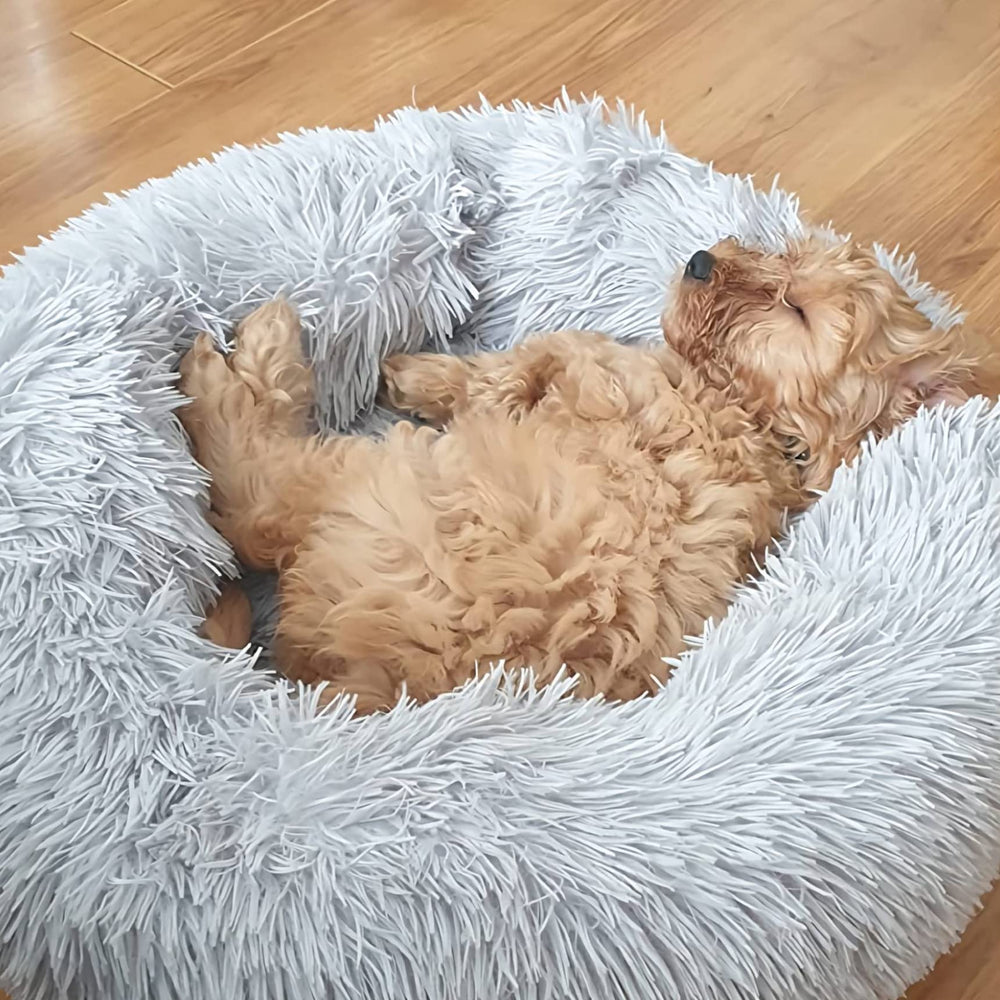 Cama donut Nononfish lavable en máquina para cuidado sencillo.