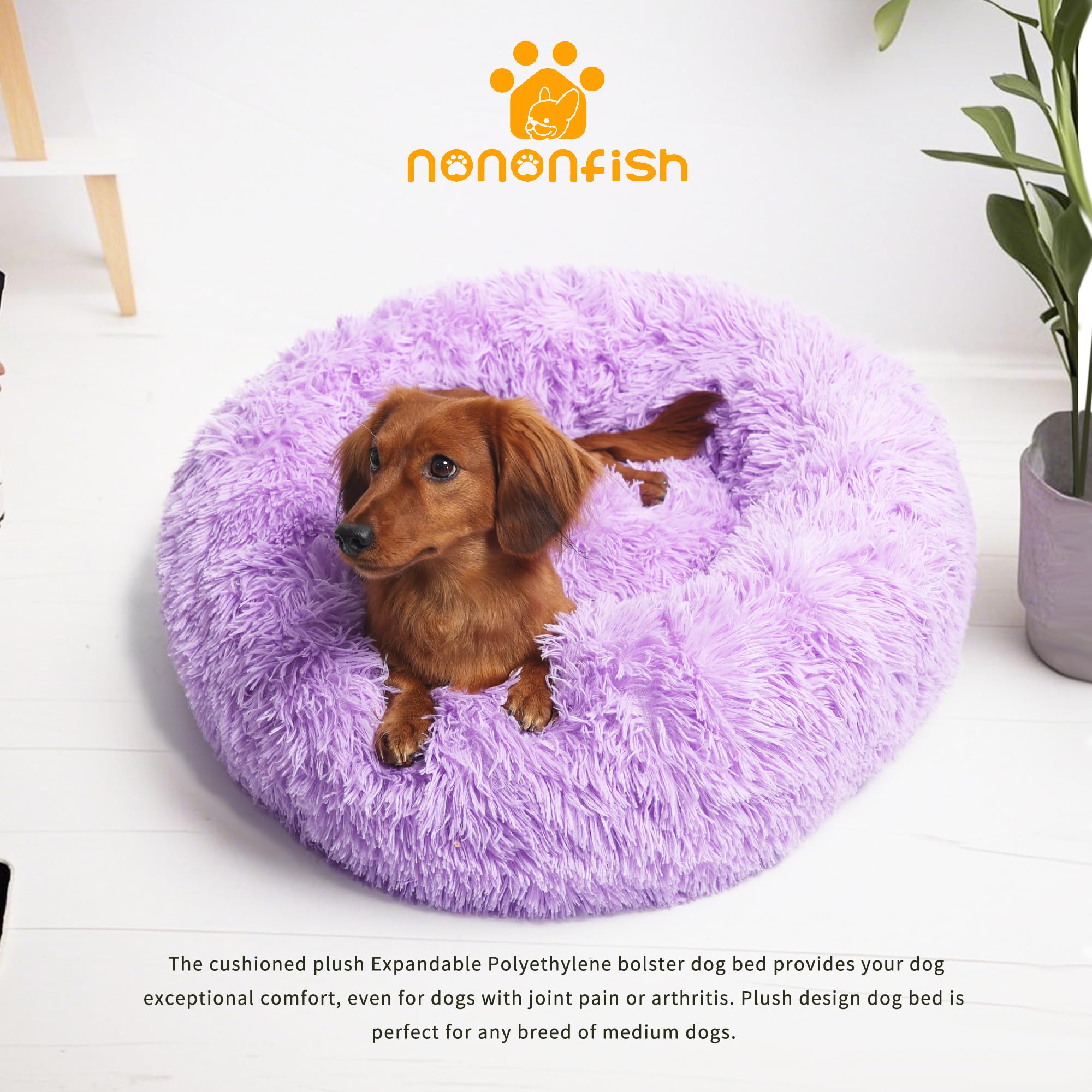Nononfish versión púrpura, tamaño perfecto para perros y gatos