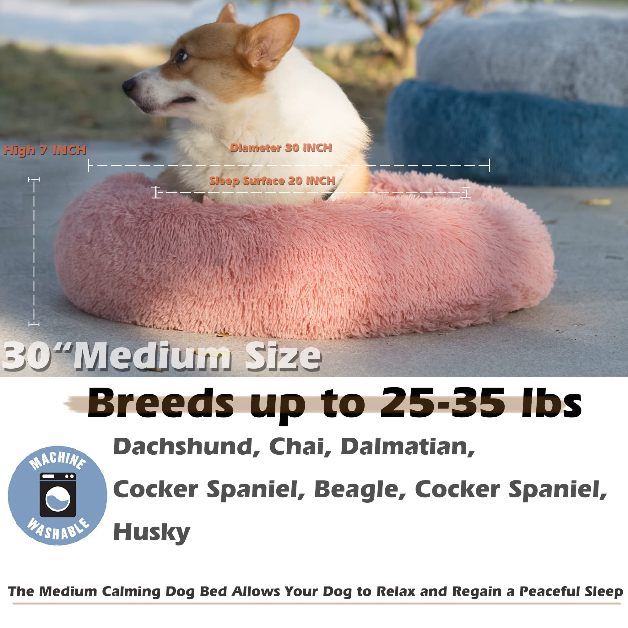 Nononfish cama para perros borde elevado sostiene cabeza y cuello