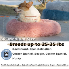 Nononfish cama para perros borde elevado sostiene cabeza y cuello