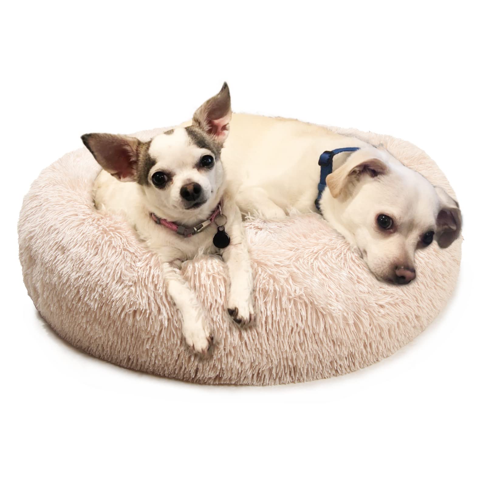 Cama donut de nononfish para perros medianos, confort envolvente para dormir.