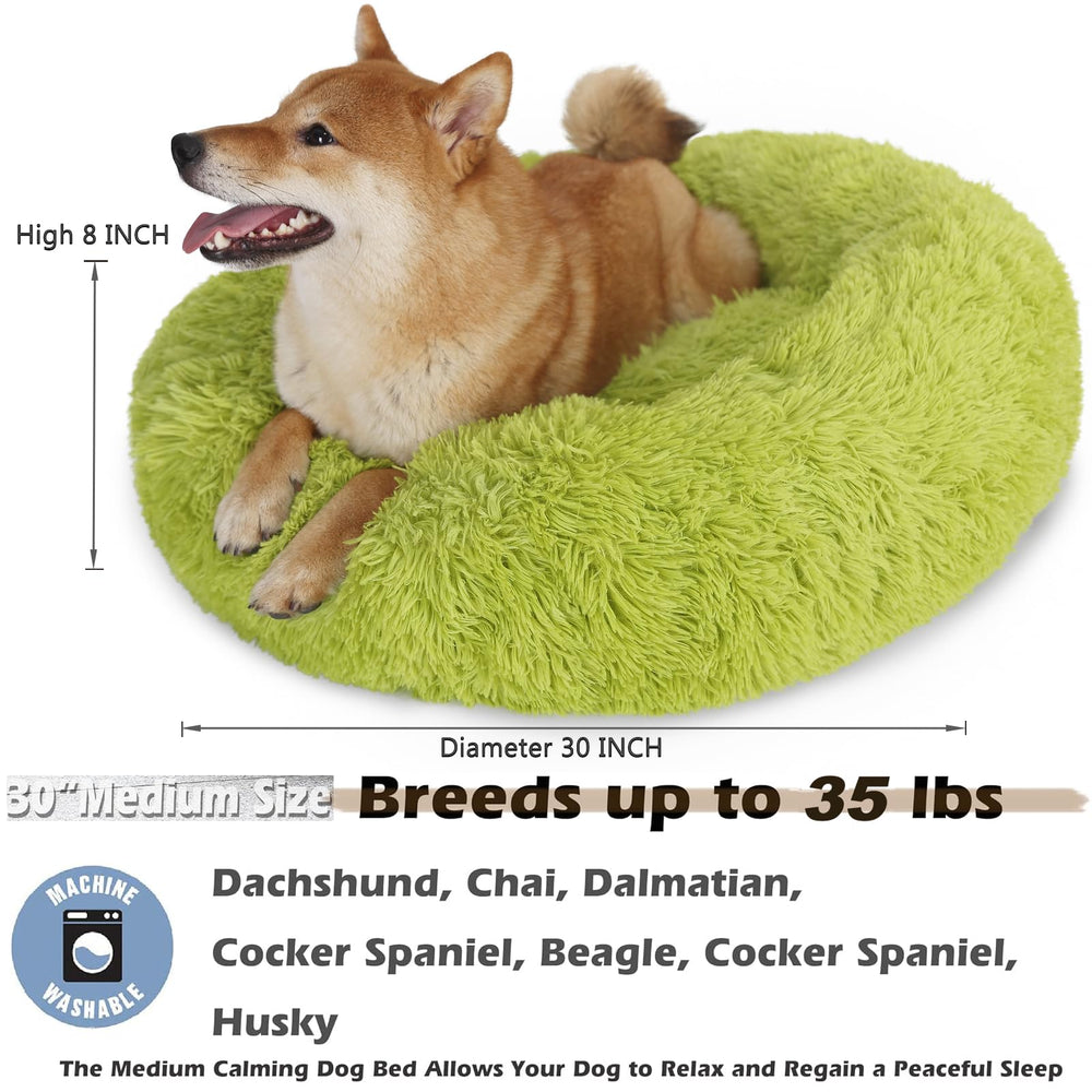 Cama rosquilla lavable a máquina para limpieza fácil y rápida.