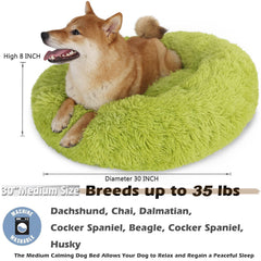 Cama rosquilla lavable a máquina para limpieza fácil y rápida.