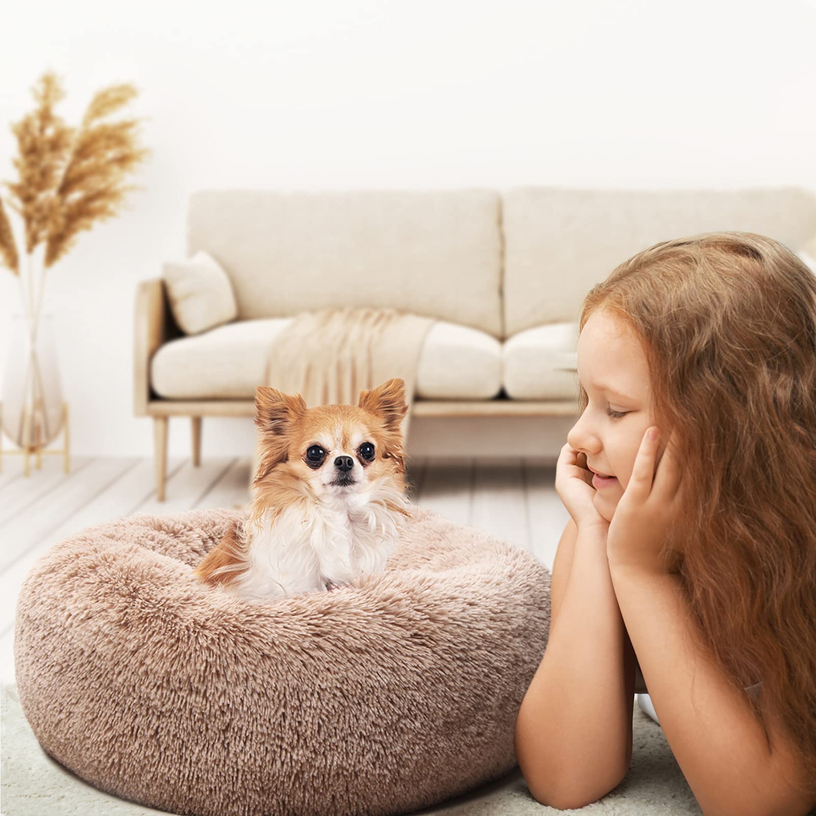 Nononfish cama para mascota pequeña, uso diario en casa.