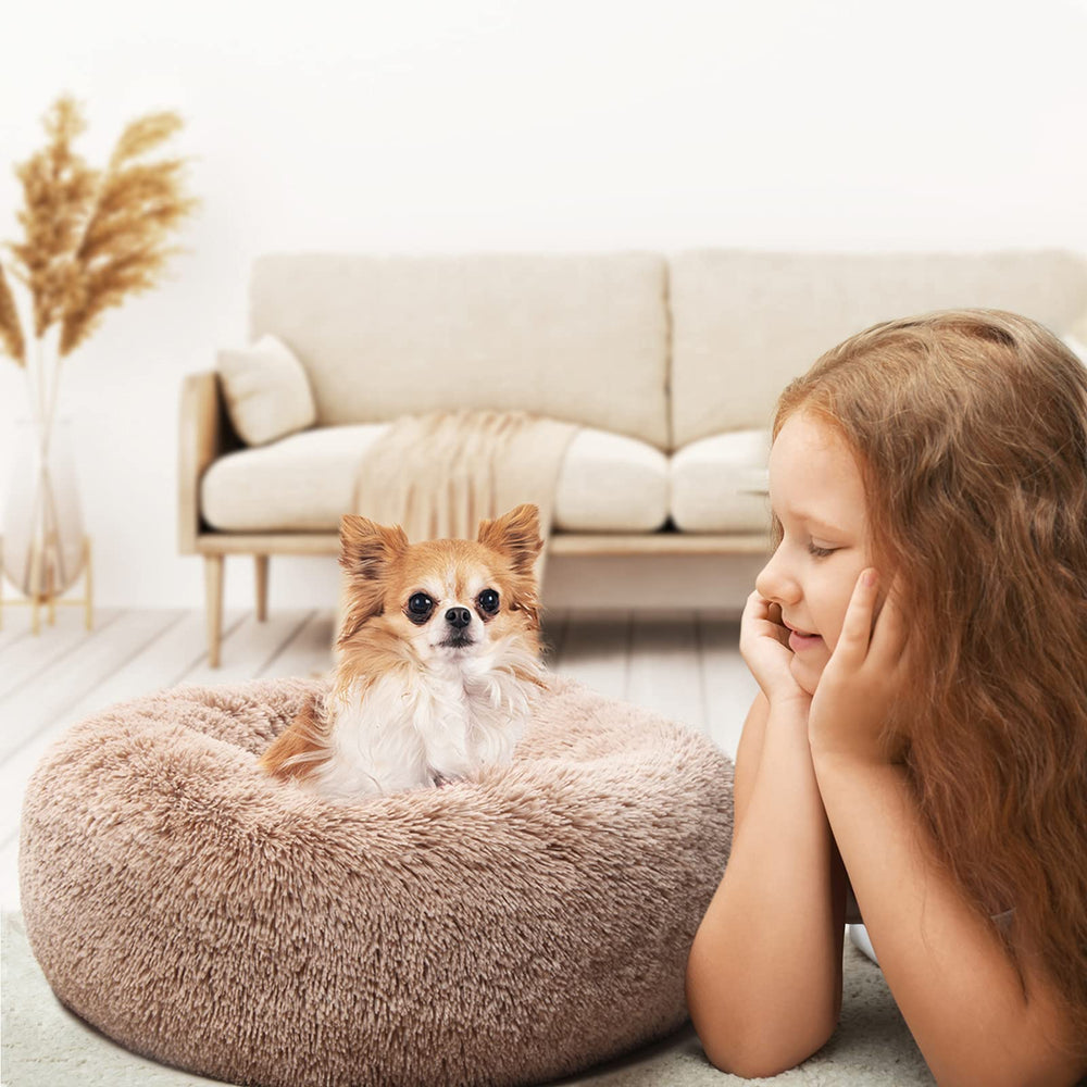 Nononfish cama para mascota pequeña, uso diario en casa.