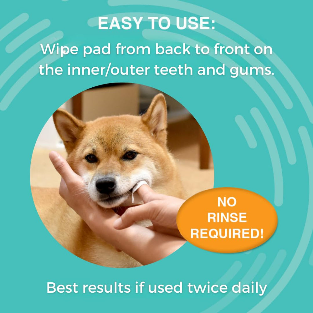Nootie dental wipes, aplicación fácil en dientes y encías