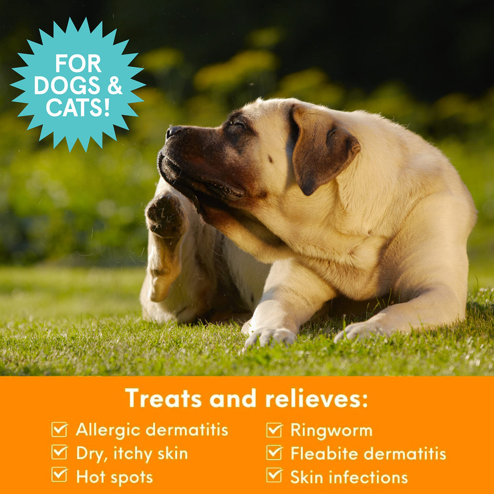 Nootie Medicated Pet Shampoo, etiqueta de ingredientes, fórmula potente para la piel sensible.