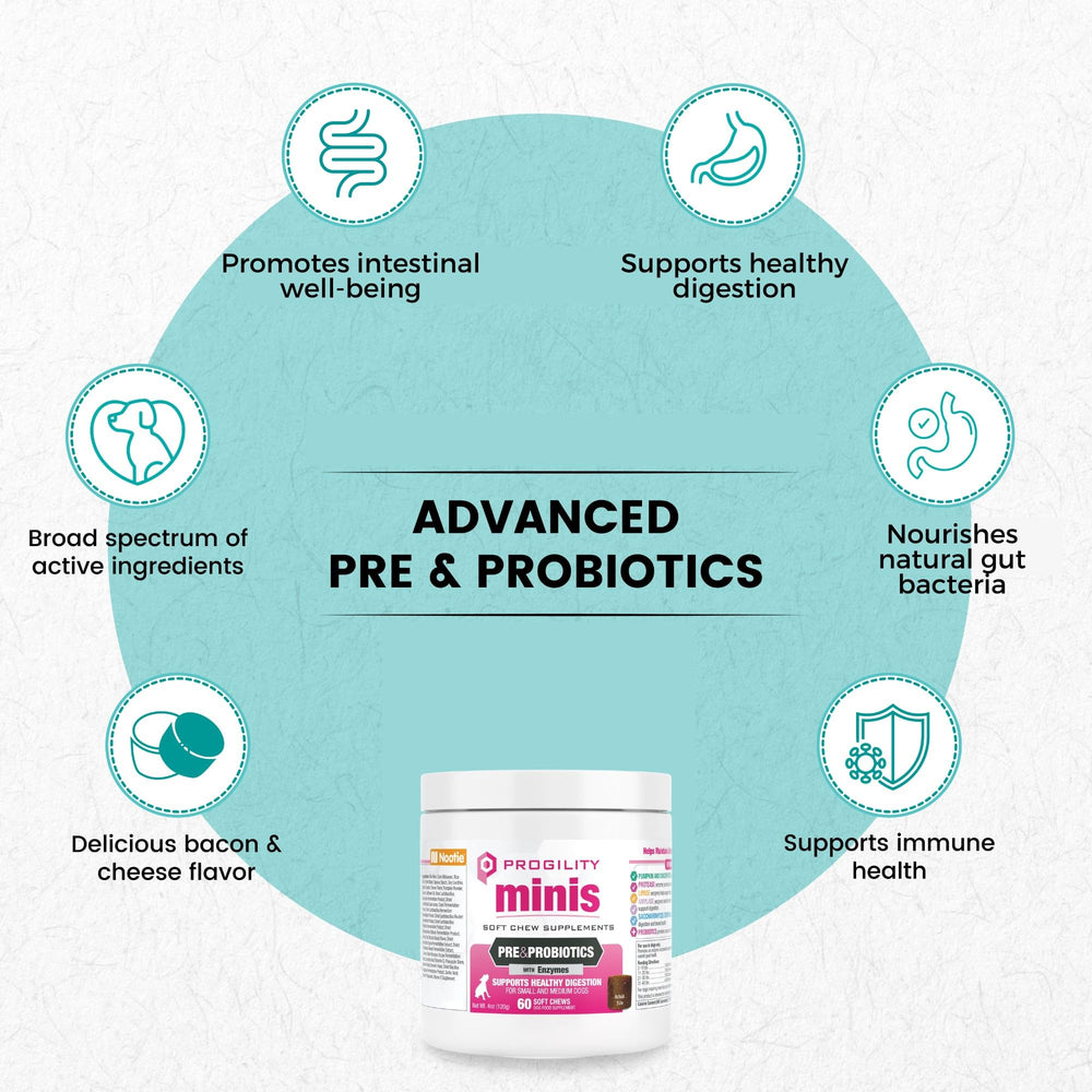Masticables digestivos de Nootie Progility Mini para la salud intestinal.